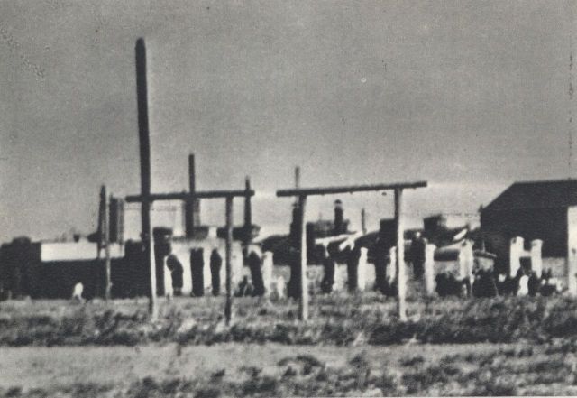 Zdjęcie powieszonych na szubienicach przy Mszczonowskiej.